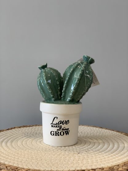 DECORAZIONE CACTUS