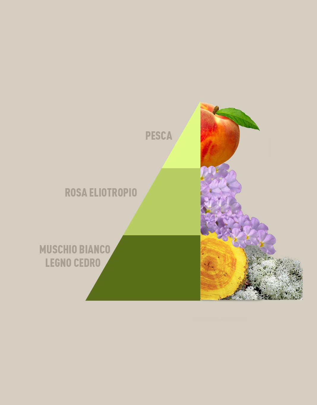 HOROMIA MUSICA DEL SOLE