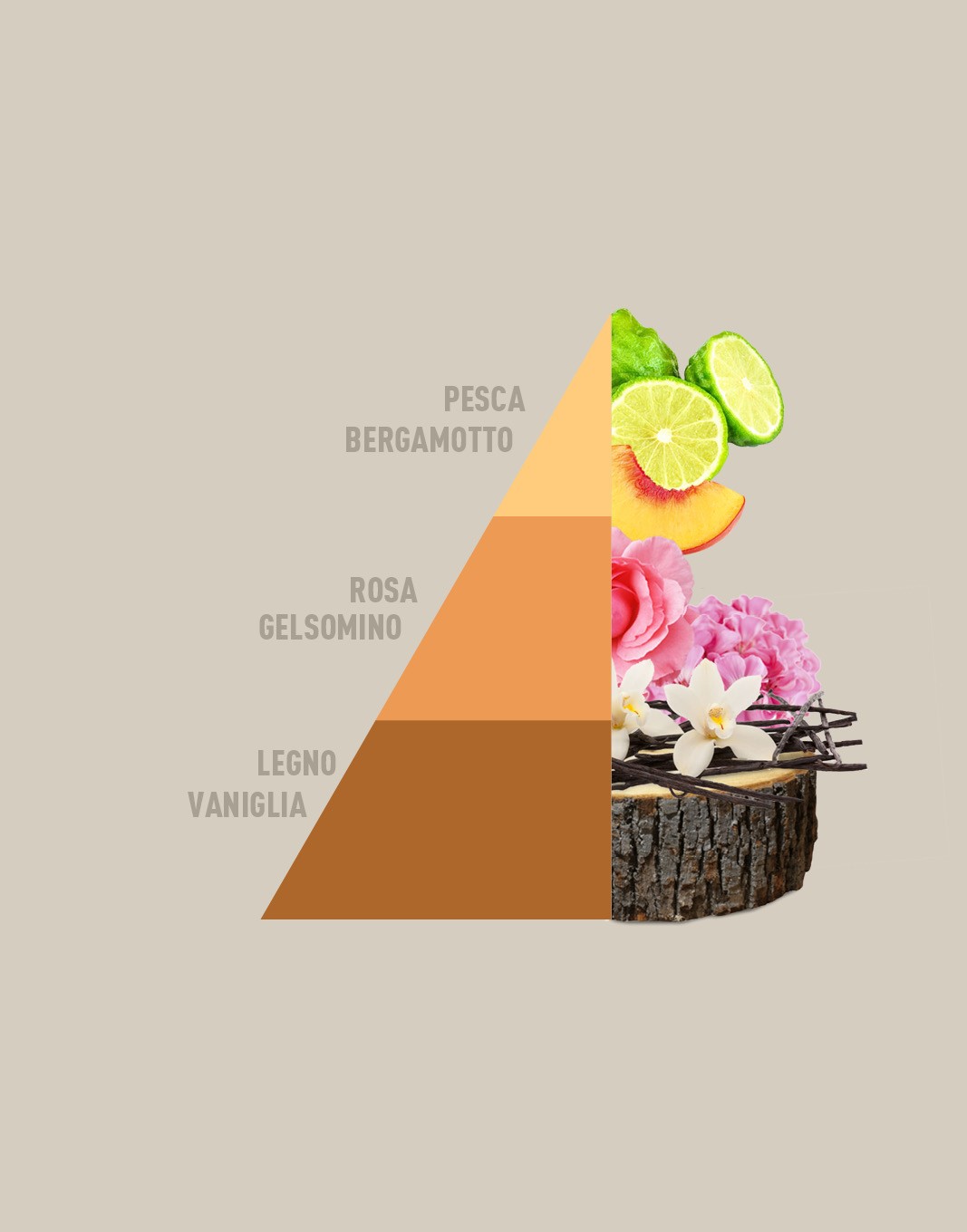 HOROMIA VENTO D'ORIENTE