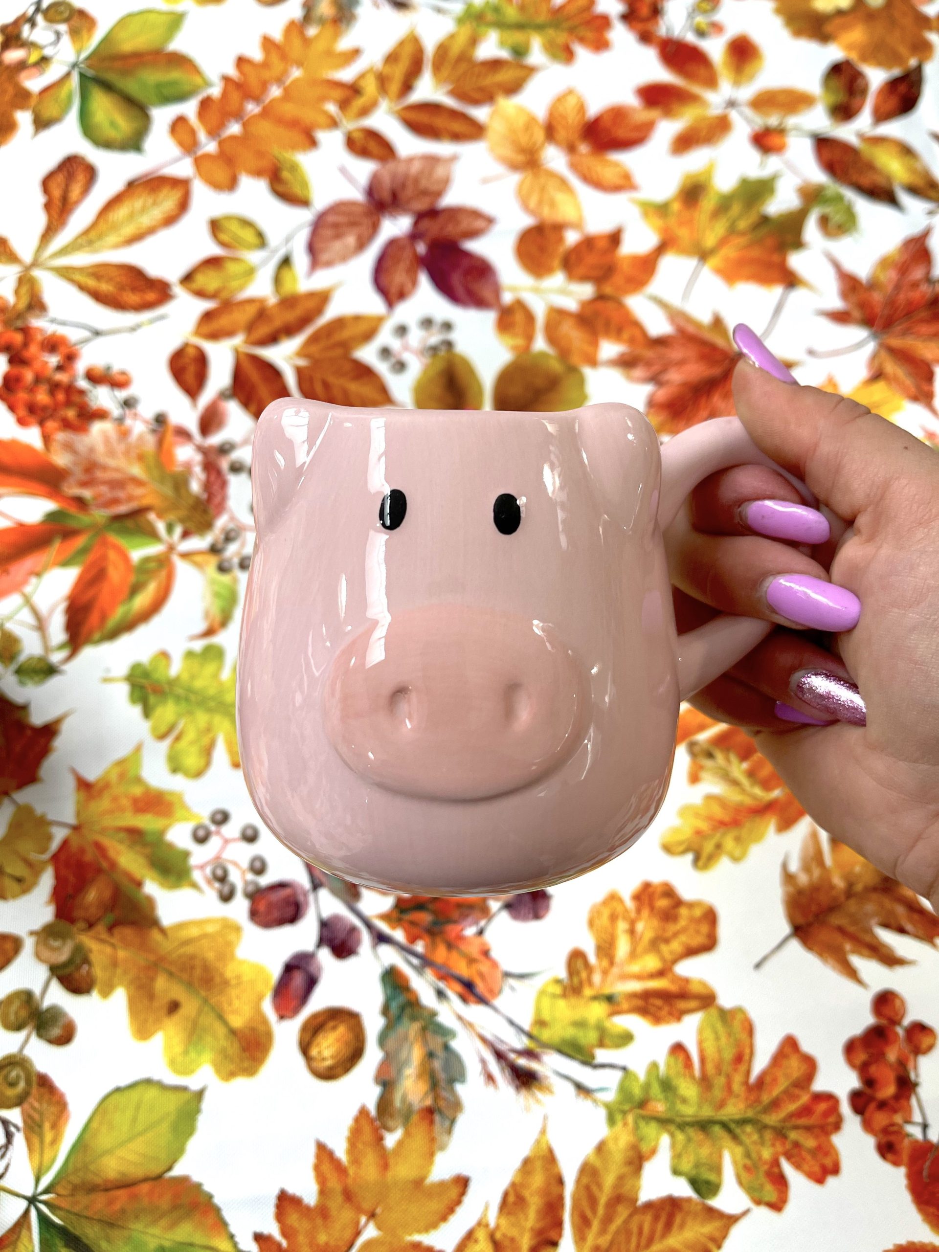 MUG ANIMALI