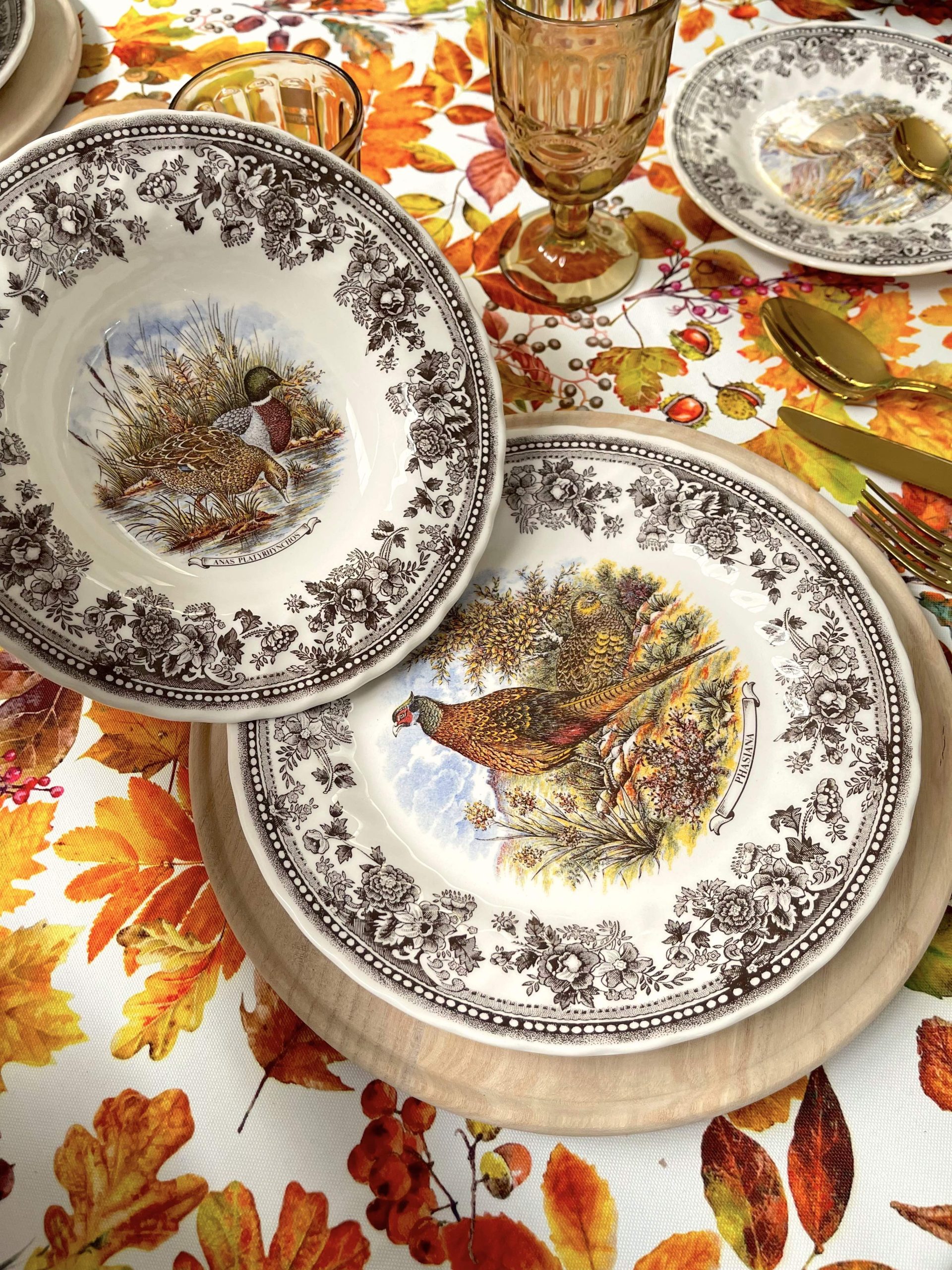 SERVIZIO TAVOLA AUTUNNO BOSCO