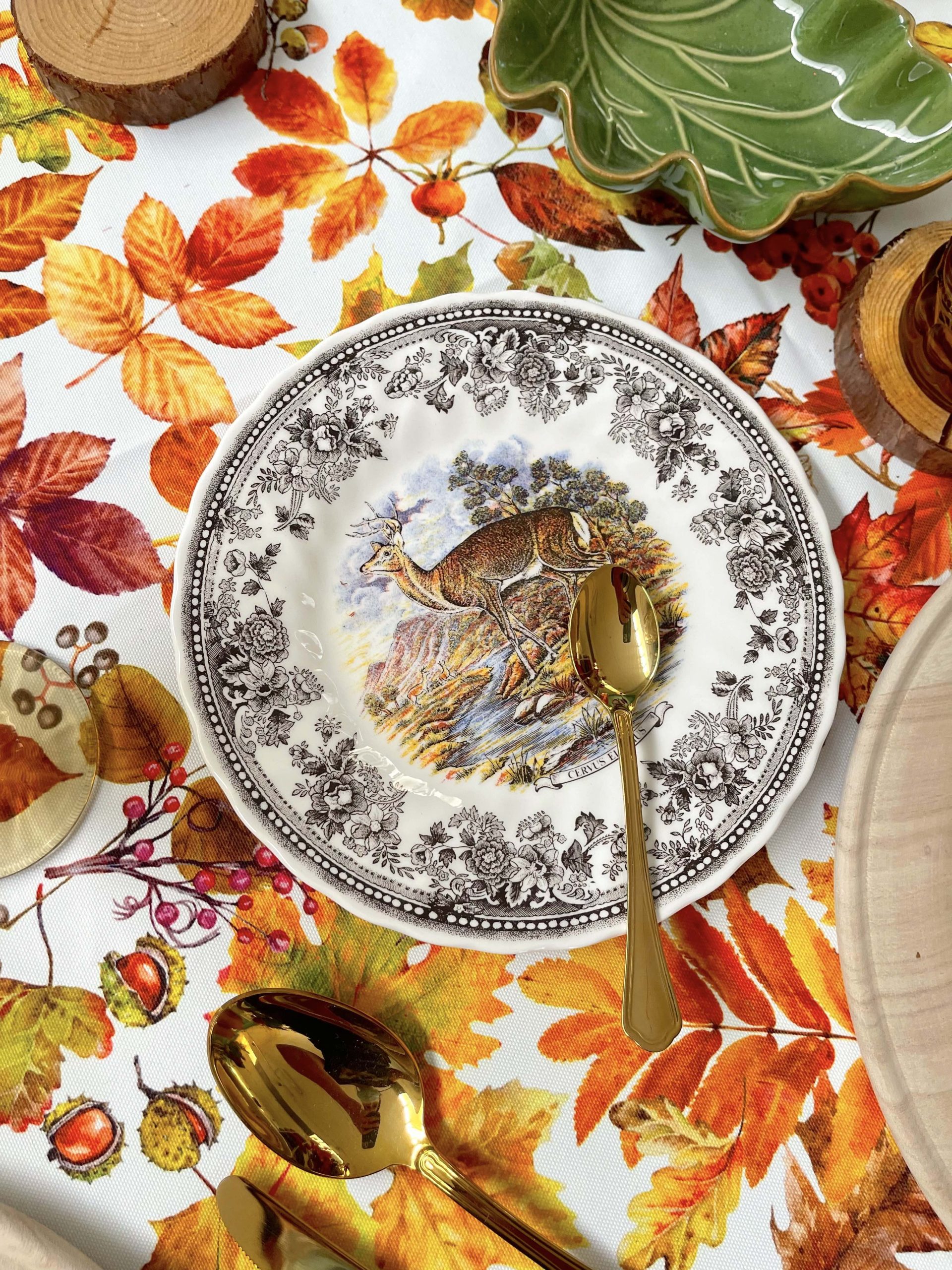 SERVIZIO TAVOLA AUTUNNO BOSCO