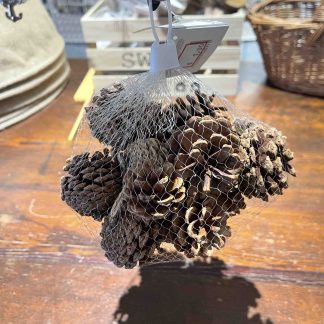 PIGNE DECORATIVE MARRONI