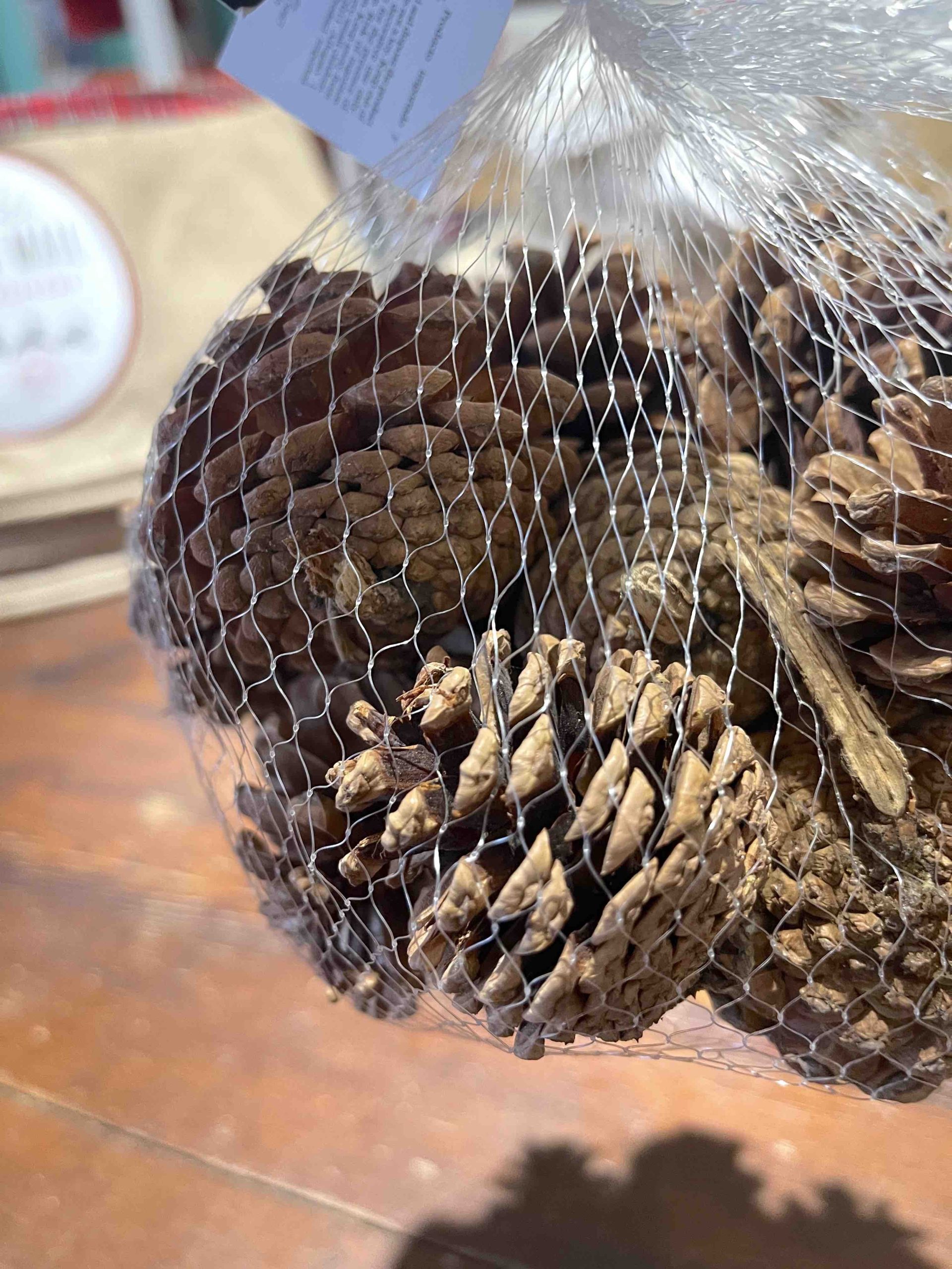 PIGNE DECORATIVE MARRONI