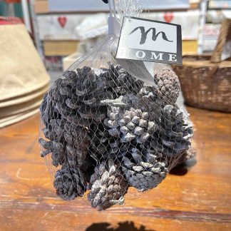 PIGNE DECORATIVE SBIANCATE