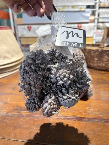 PIGNE DECORATIVE SBIANCATE