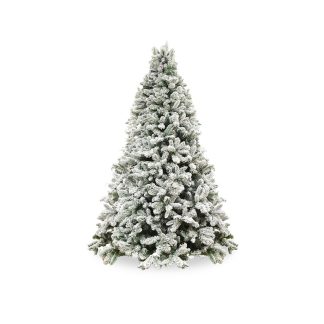 ALBERO INNEVATO 210 VAL D'ISERE