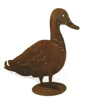 CORTEN ANATRA