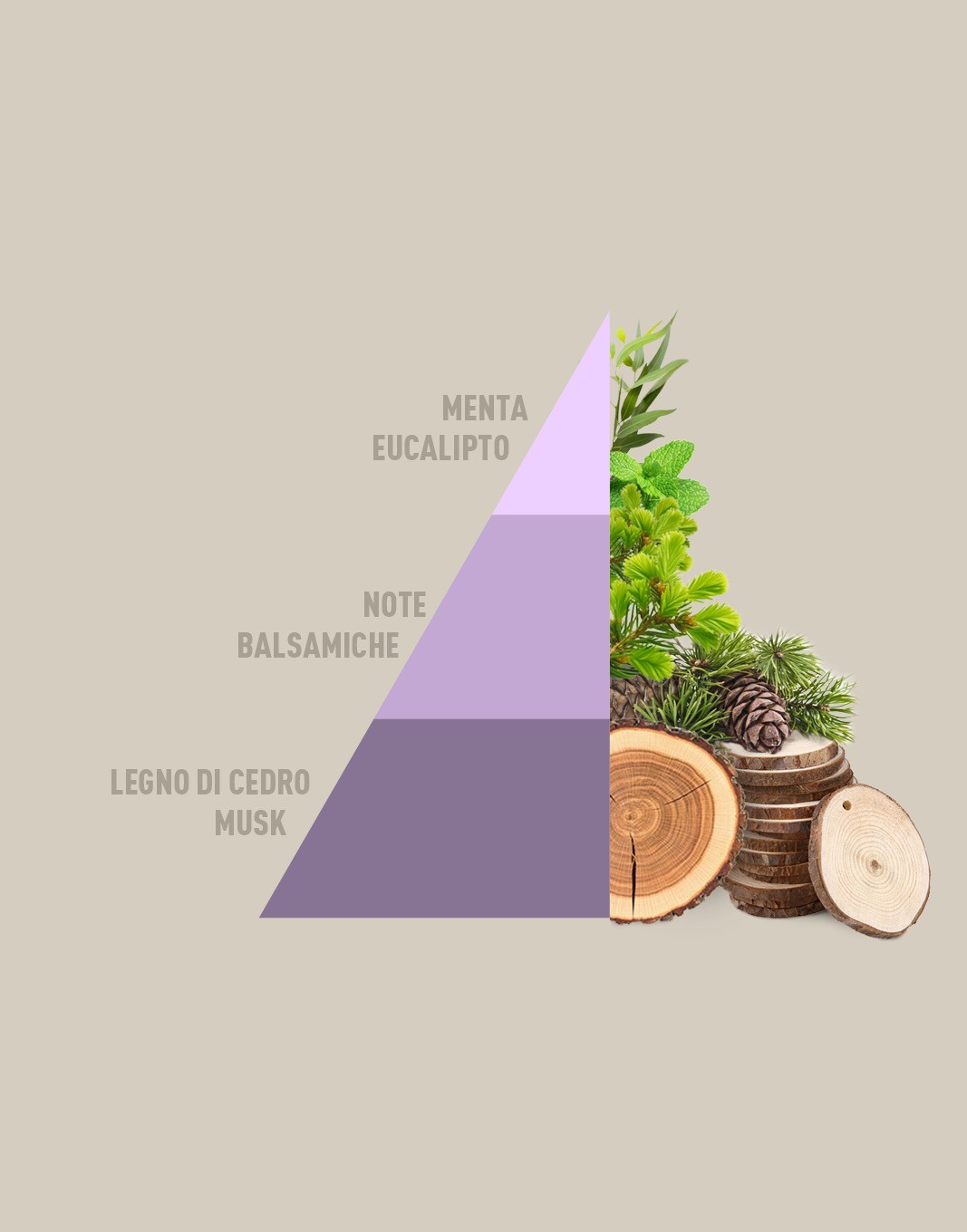 HOROMIA BREZZA DI PRIMAVERA