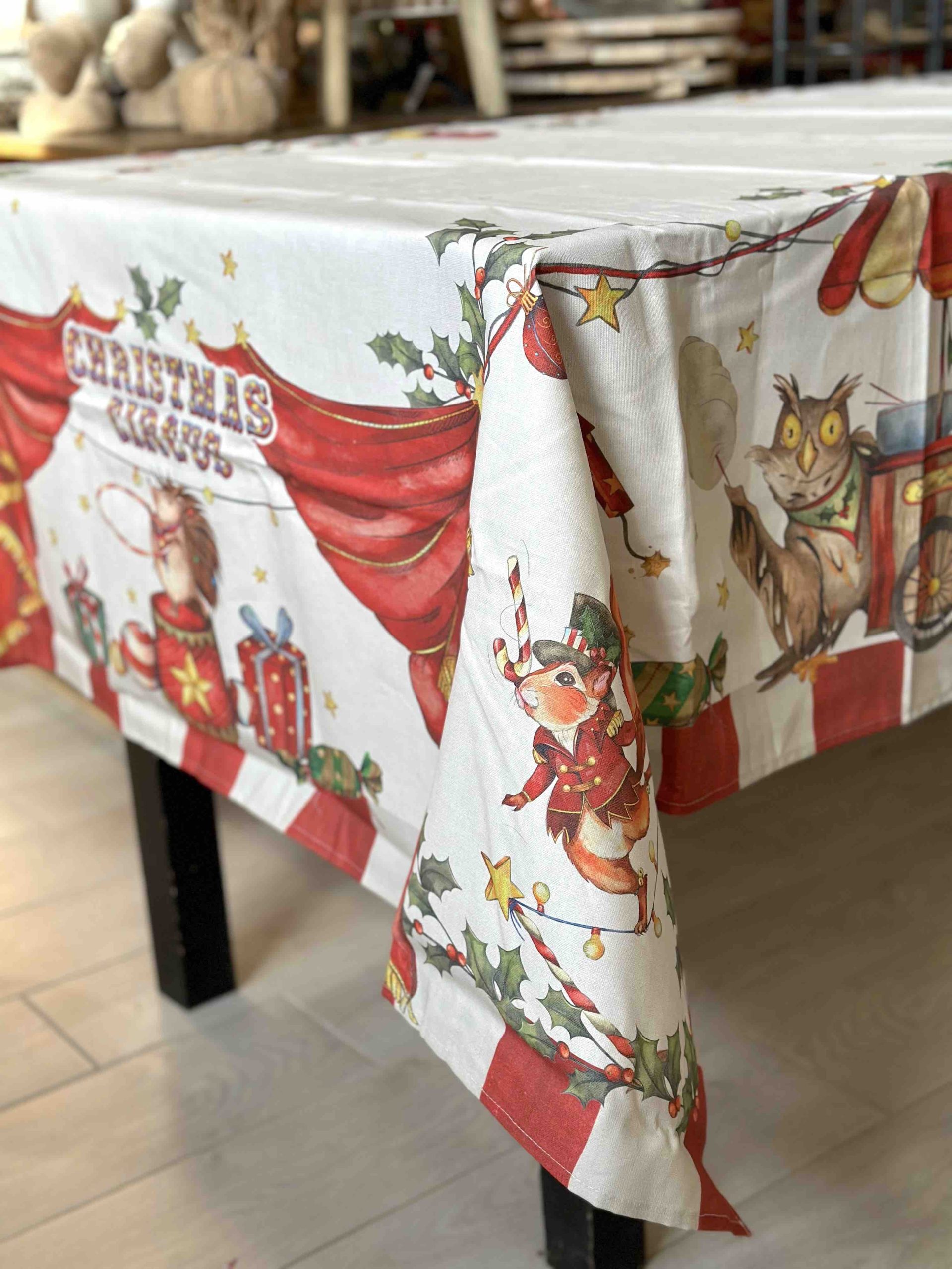 TOVAGLIA CIRCUS GABEL