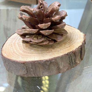 SACCHETTO DI LEGNI