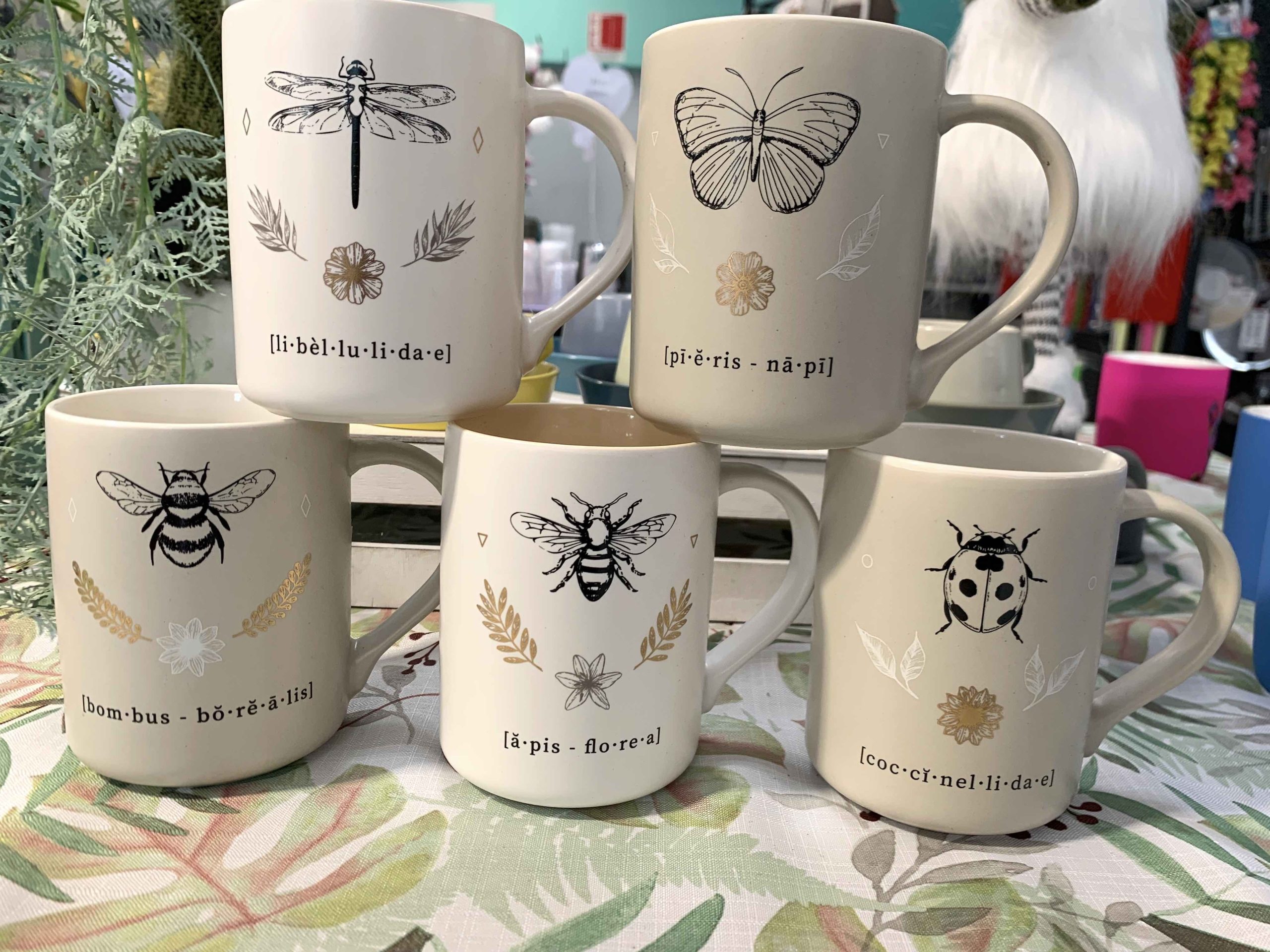 TAZZA INSETTI