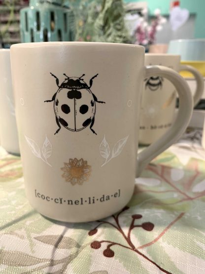 TAZZA INSETTI