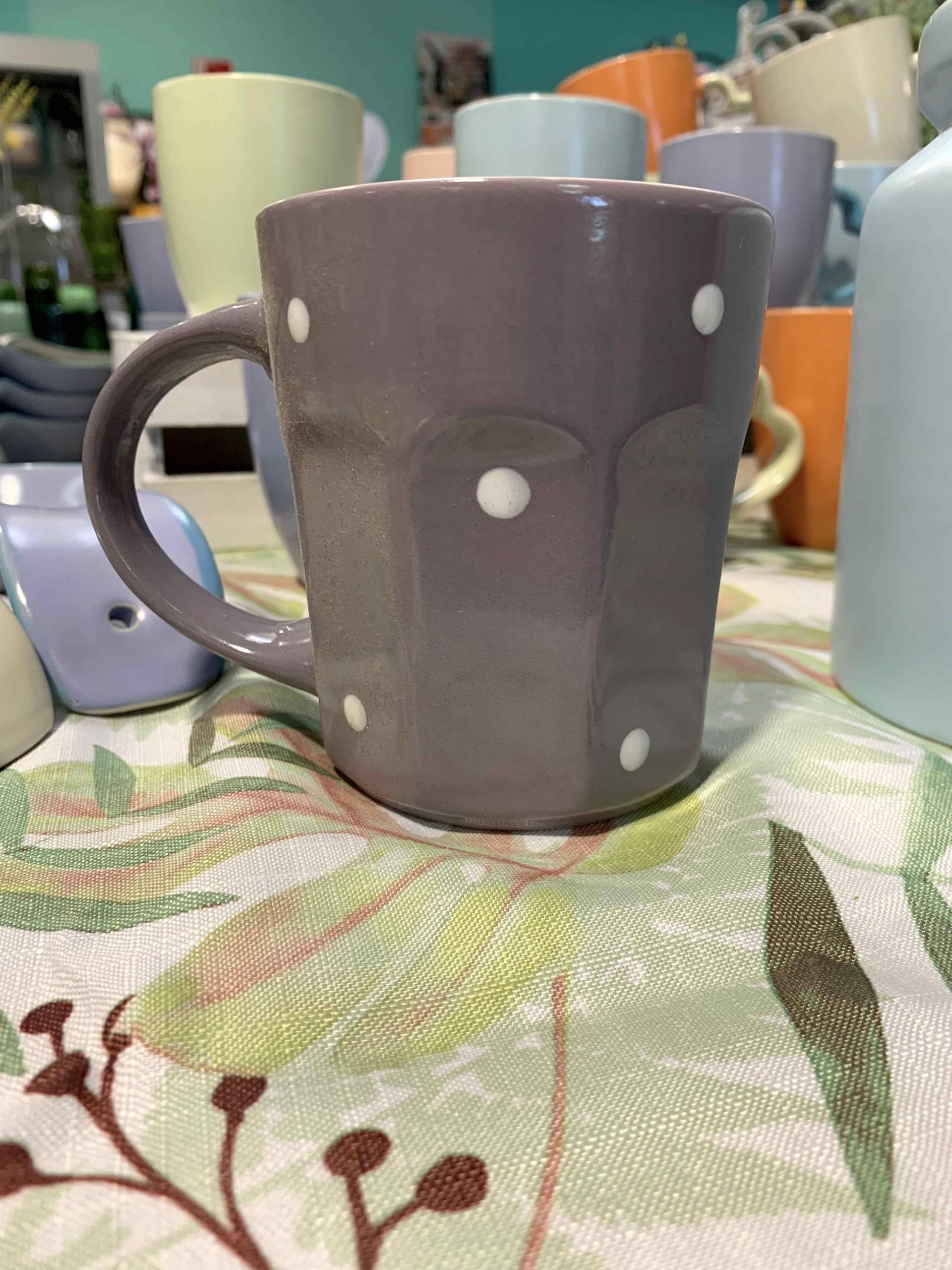 TAZZA POIS