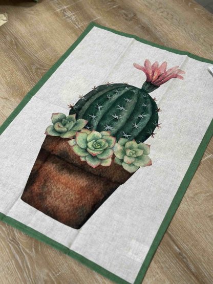CANOVACCIO CACTUS1