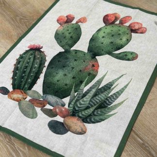 CANOVACCIO CACTUS3