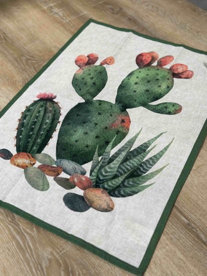 CANOVACCIO CACTUS3