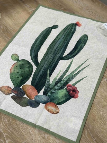 CANOVACCIO CACTUS4