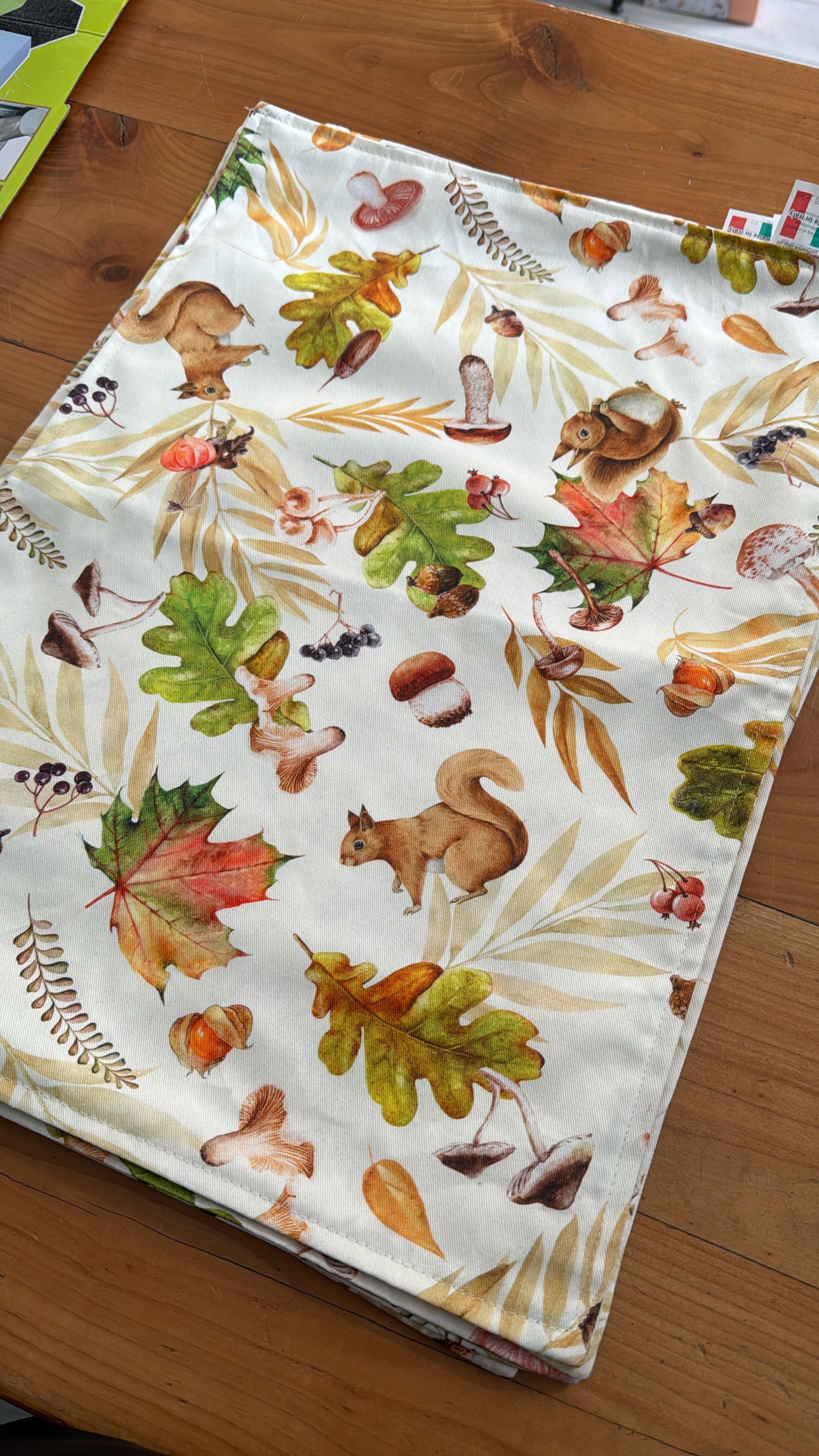 TOVAGLIETTA FUNGHI SCOIATTOLO