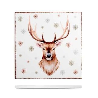 SOTTOPENTOLA QUADRATO NATALIZIO