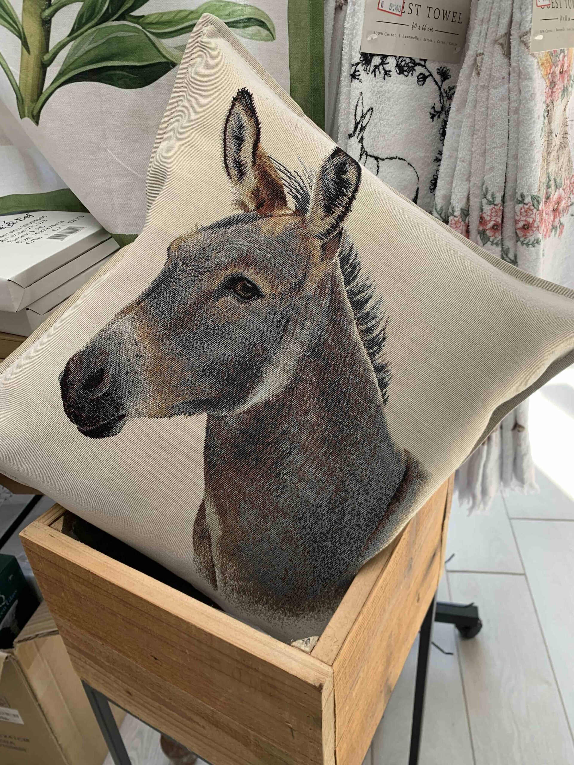 CUSCINO ARREDO ASINO