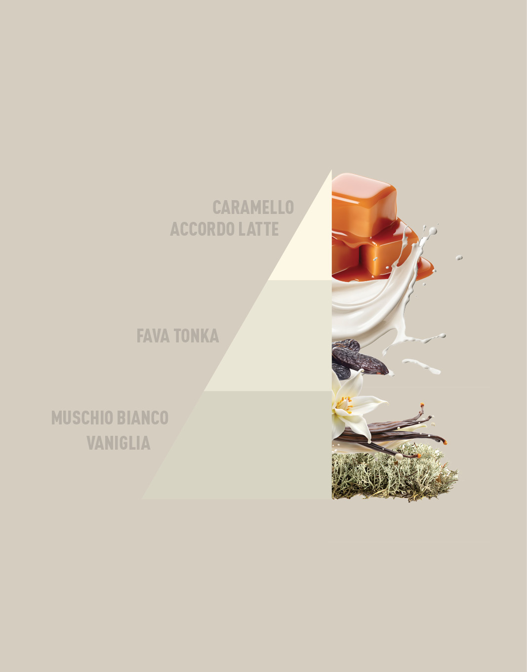 HOROMIA BIANCO LATTE - immagine 3