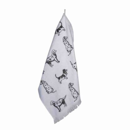CLAYRE & EEF CANOVACCIO SPUGNA CANI - immagine 2