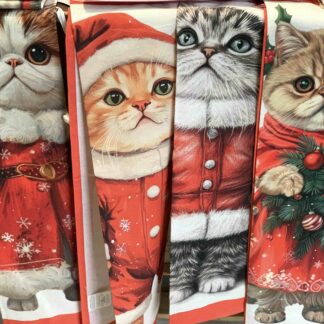 CANOVACCIO GATTI NATALE