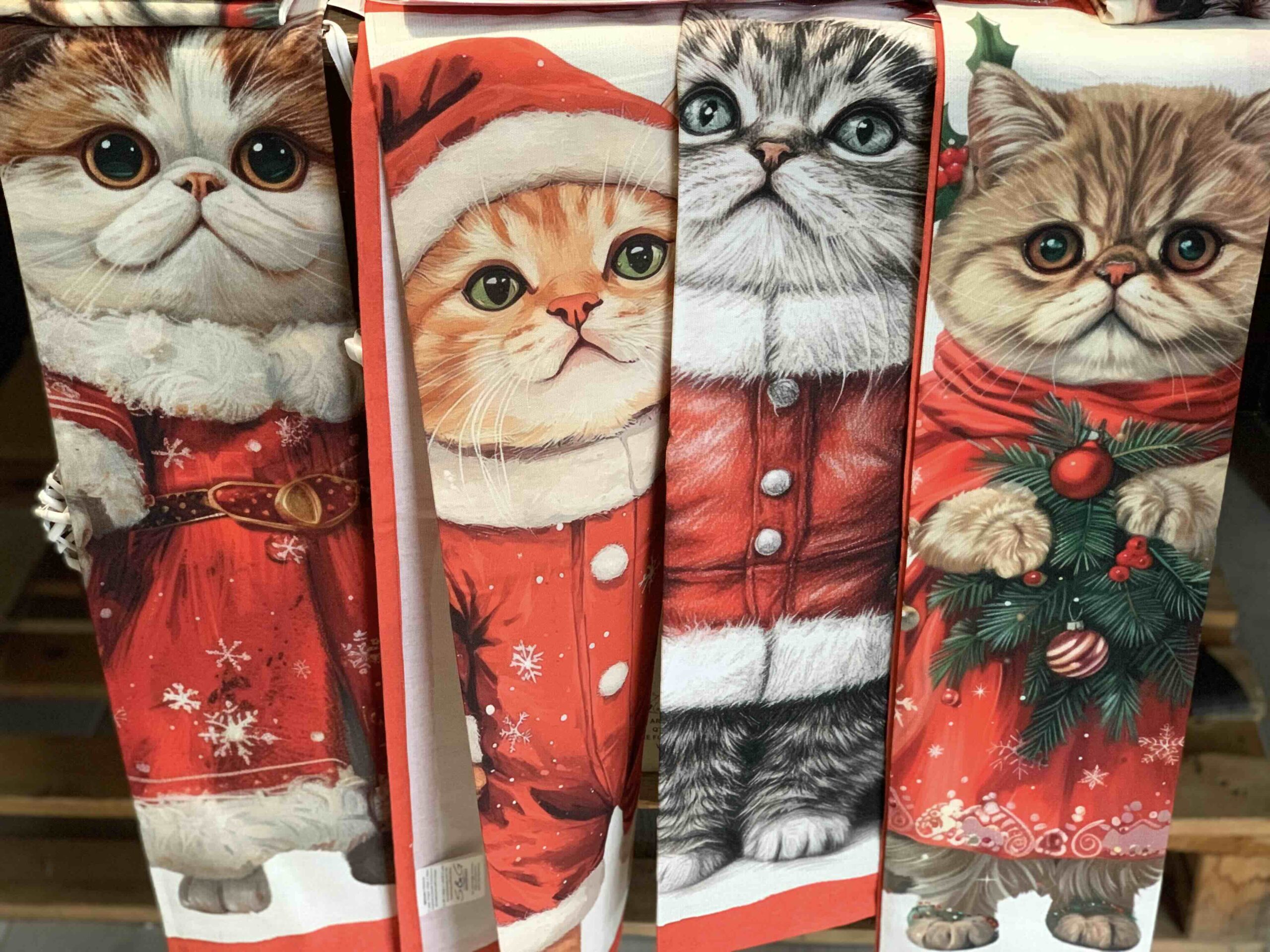 CANOVACCIO GATTI NATALE