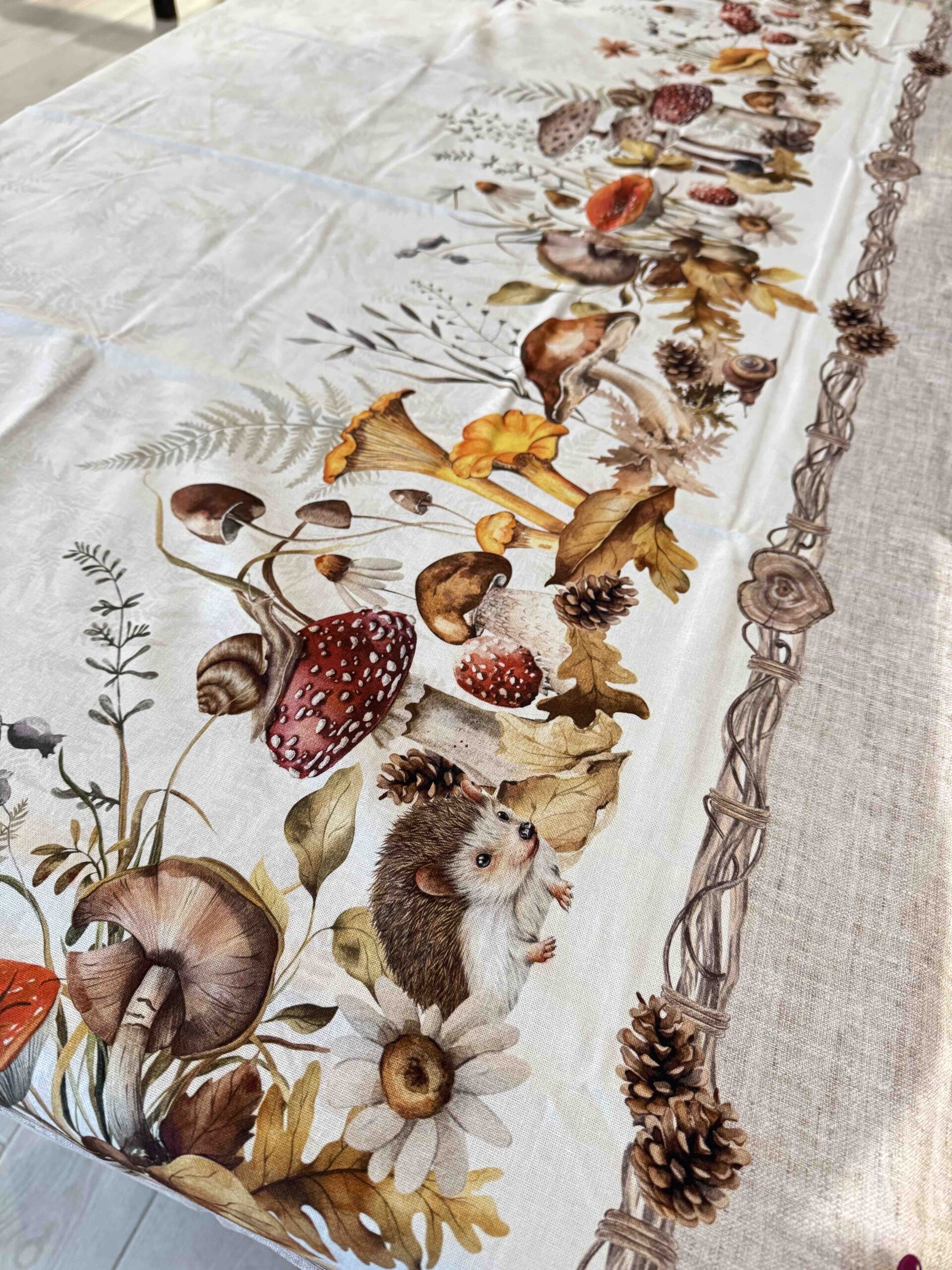 TOVAGLIA RICCIO FUNGHI