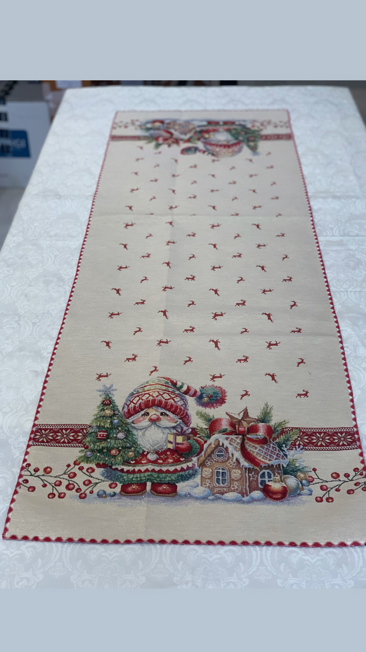 VINGI RUNNER GNOMETTO AMICI DI NATALE