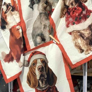 CANOVACCIO CANI NATALE