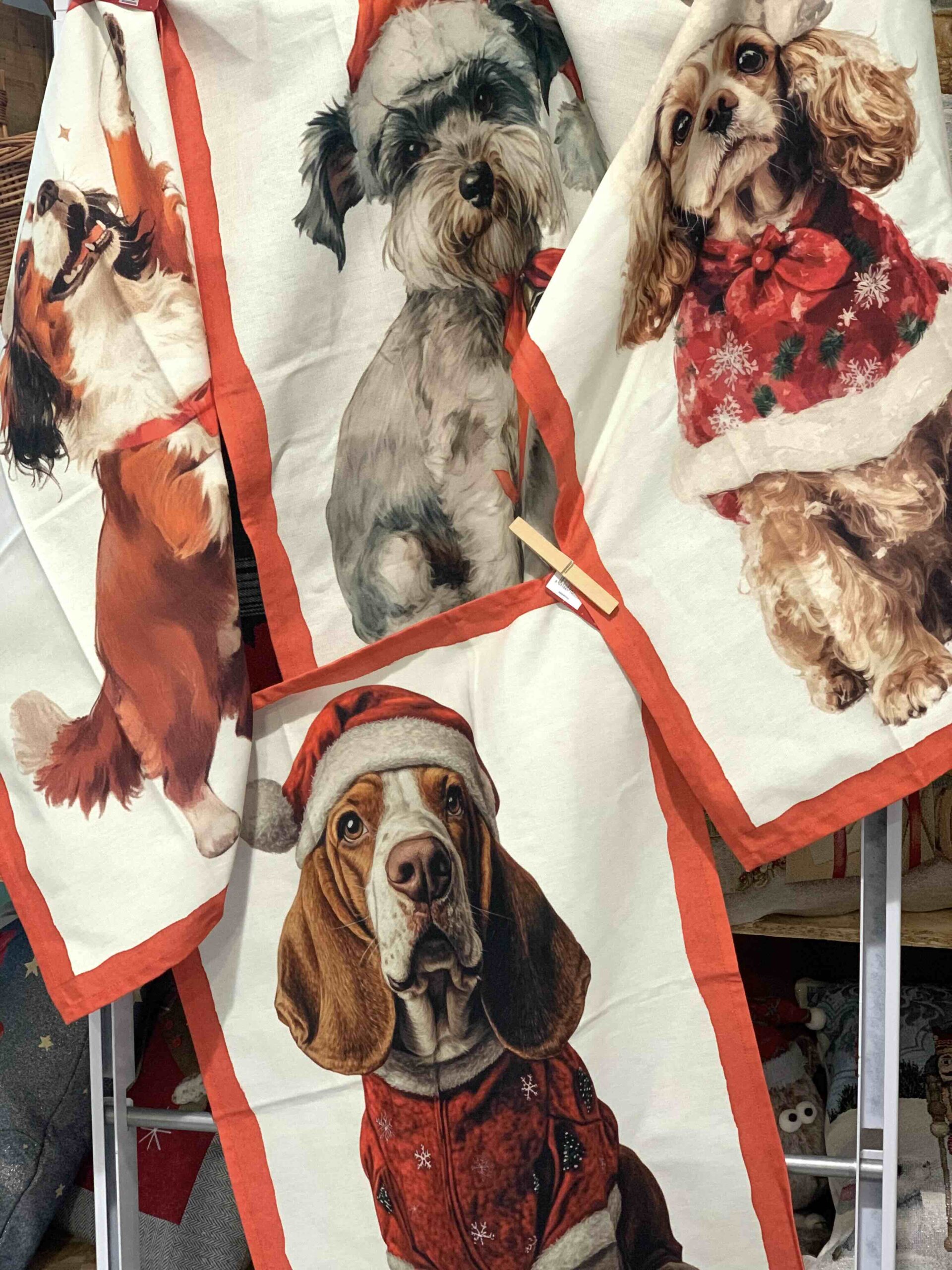 CANOVACCIO CANI NATALE