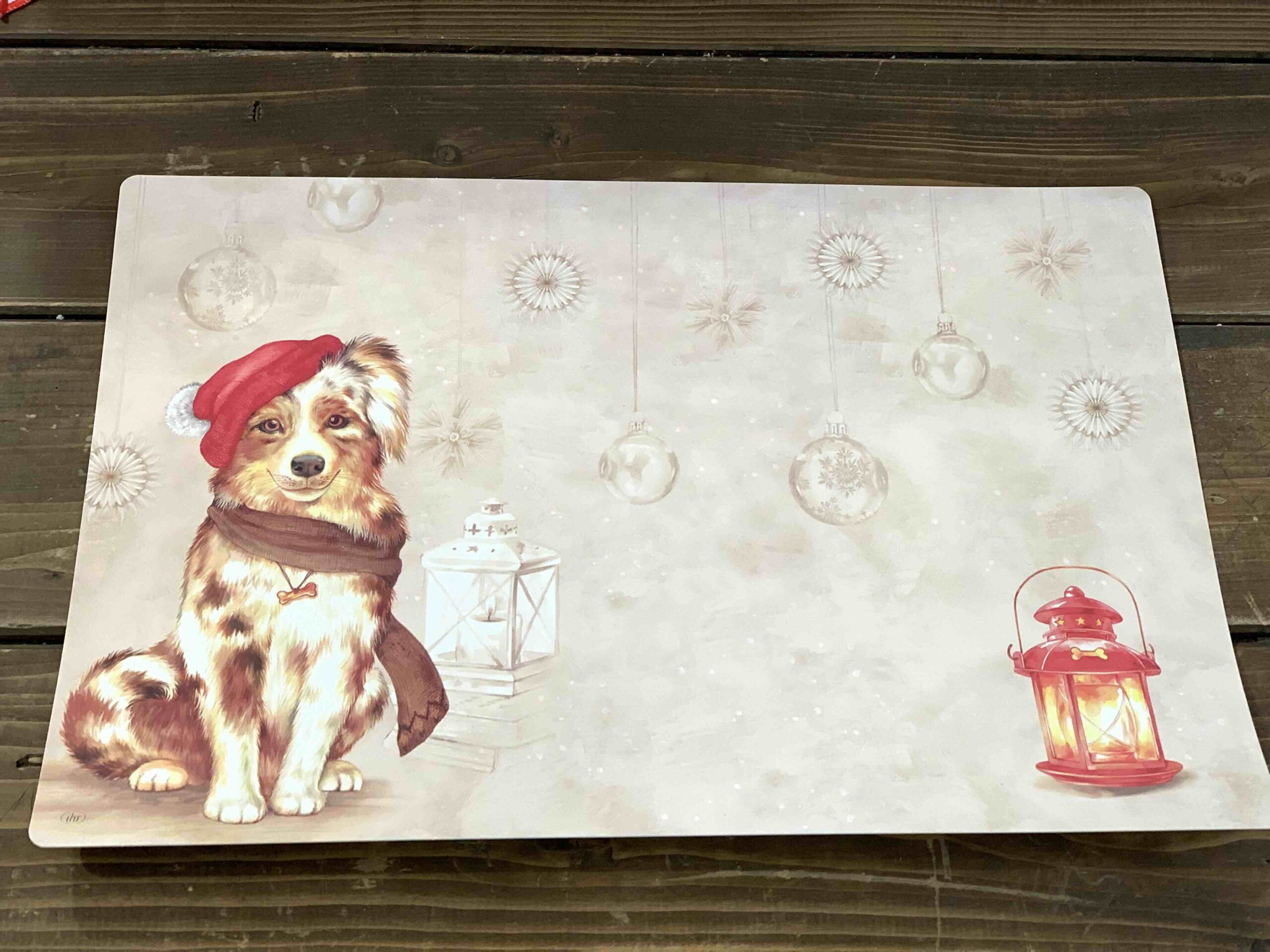 TOVAGLIETTA AMERICANA CANE NATALE
