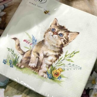 TOVAGLIOLI CARTA GATTINO PRIMAVERA