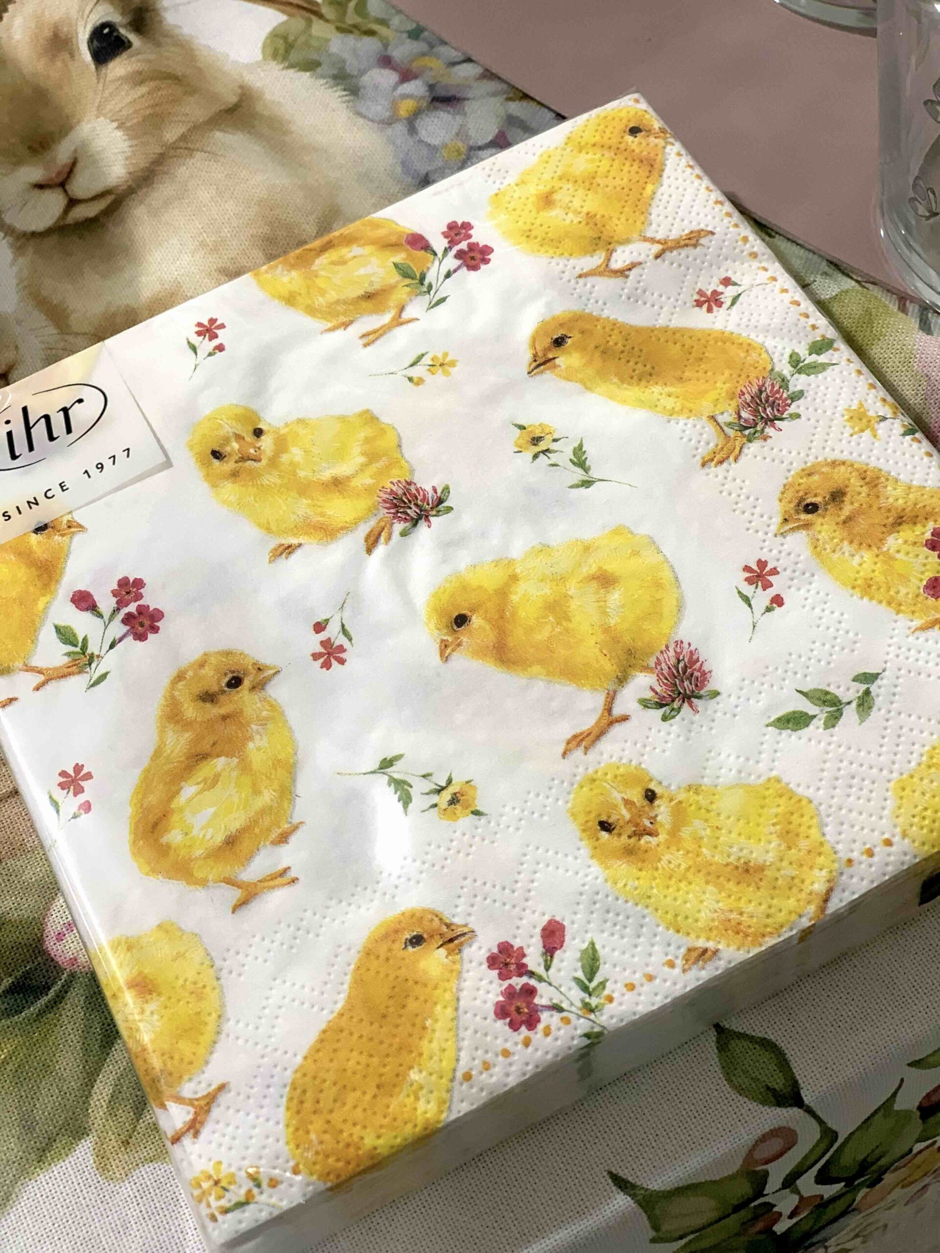 TOVAGLIOLI CARTA PULCINI