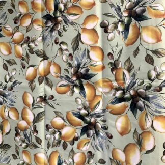 TOVAGLIA ANTIMACCHIA LIMONI E OLIVE