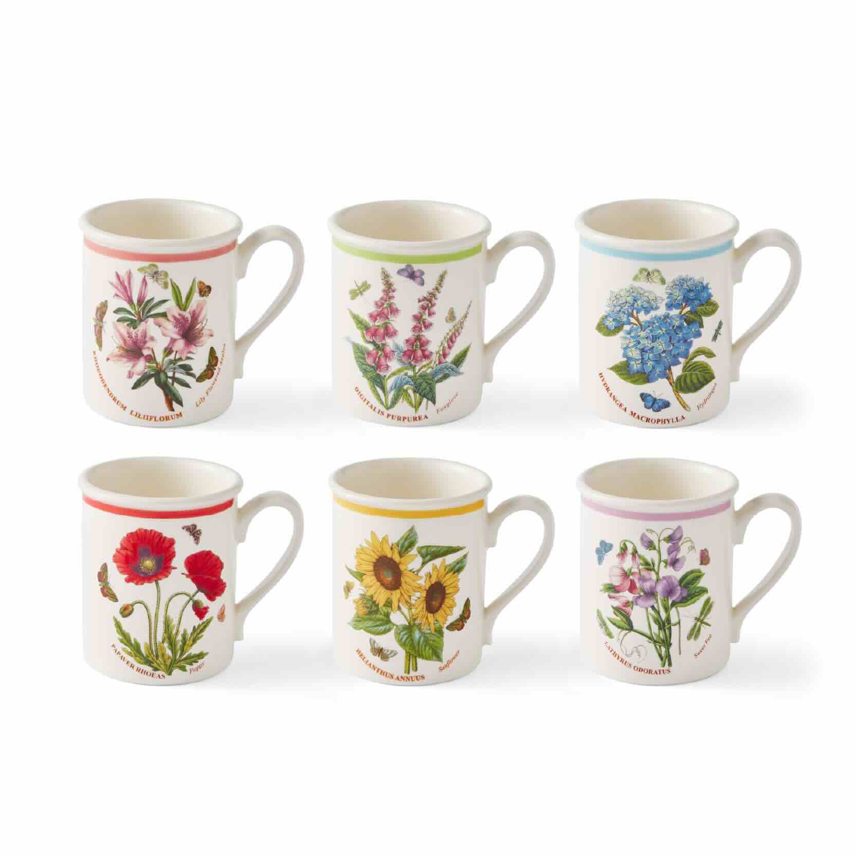 PORTMEIRION BOTANIC GARDEN COFFE MUG